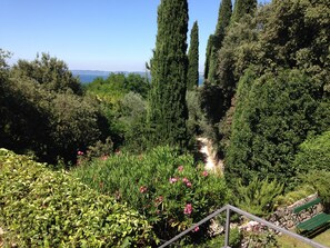 Un jardín con un sendero, follaje y una banca.