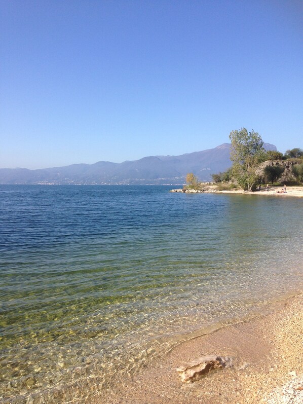 Playa en los alrededores y camastros 