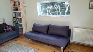 Télévision, lecteur de DVD, livres