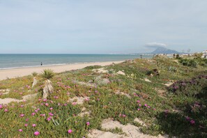 Plage à proximité, chaises longues