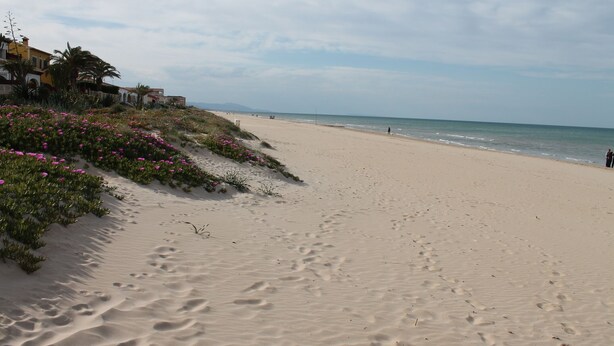 Une plage de sable avec des empreintes de pas, un ciel dégagé et des bâtiments en arrière-plan.