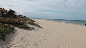 Playa en los alrededores y camastros