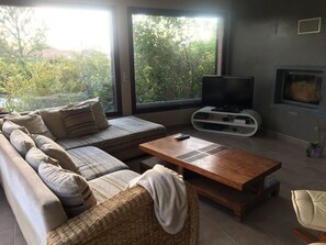 TV, fireplace, books