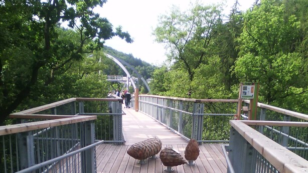 A wooden pedestrian bridge with metal railings, surrounded by trees. - Vacation for the family. Top apartment**** 2-4 persons, 75sqm, terrace. 2 bedrooms.  (Walkenried / Südharz)
