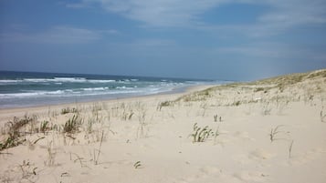 Plage à proximité