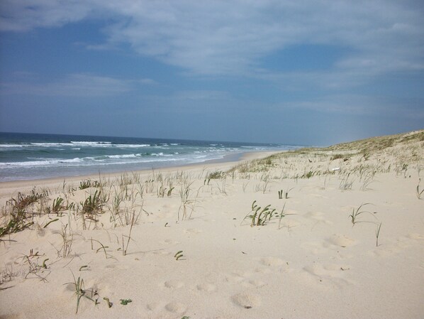 Playa en los alrededores 