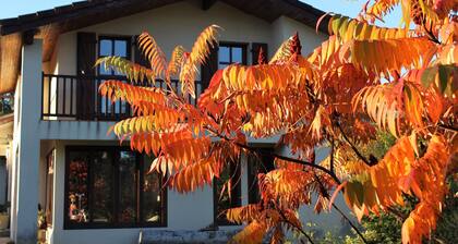 Exceptional bed and breakfast