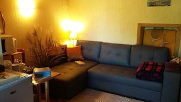 Televisie, een open haard, een dvd-speler en boeken