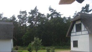 Uklassifisert bilde, 2 av 45, knapp