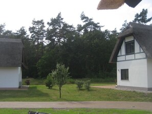 Property grounds - 5 ***** holiday home "Zum Haff-Glück" for a break in beautiful surroundings (Zirchow)