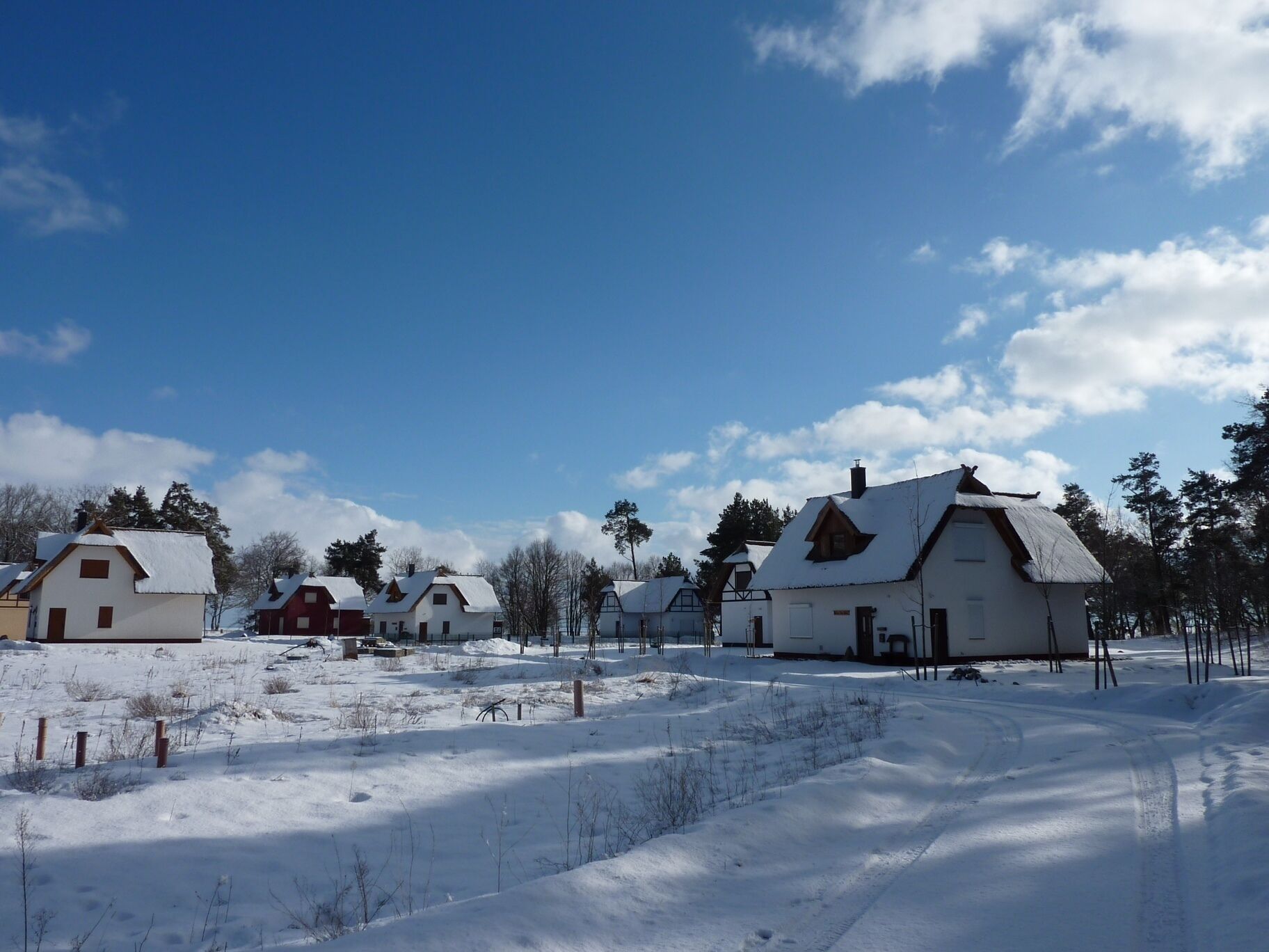En snötäckt by med traditionella hus, en klarblå himmel och några få träd.