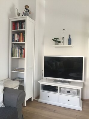 Smart TV, DVD player, books, music library