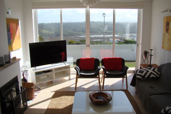 Smart TV, fireplace, books, stereo