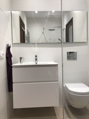 Ducha, secador de pelo, toallas, jabón