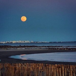 بالقرب من الشاطئ