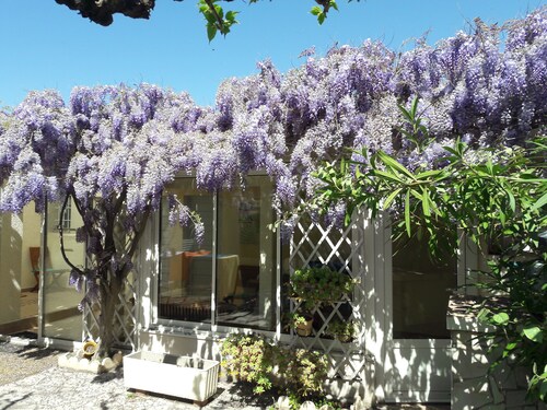 Villa Carnon à 100 mètres de la plage 