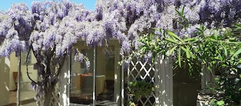 Villa Carnon 100 meters from the beach