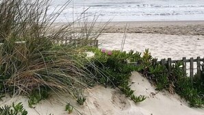 Une plage avec une clôture en bois et quelques plantes.