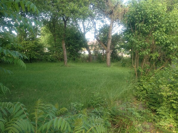 A grassy area with trees and dense foliage. - Beautiful house in country style in the Bergisch Land (Ruppichteroth)
