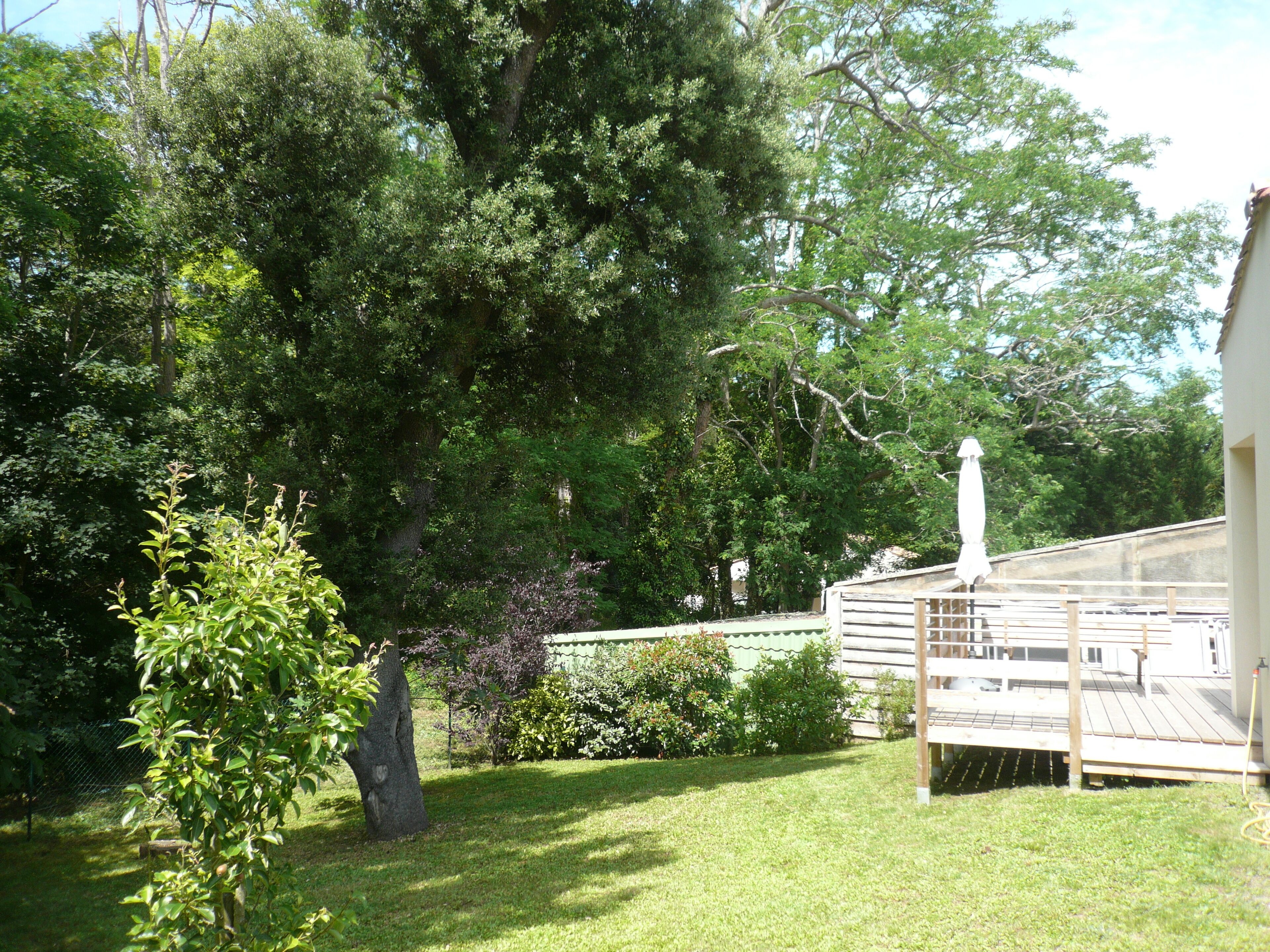 A wooden deck with a white umbrella, surrounded by lush greenery and trees.
