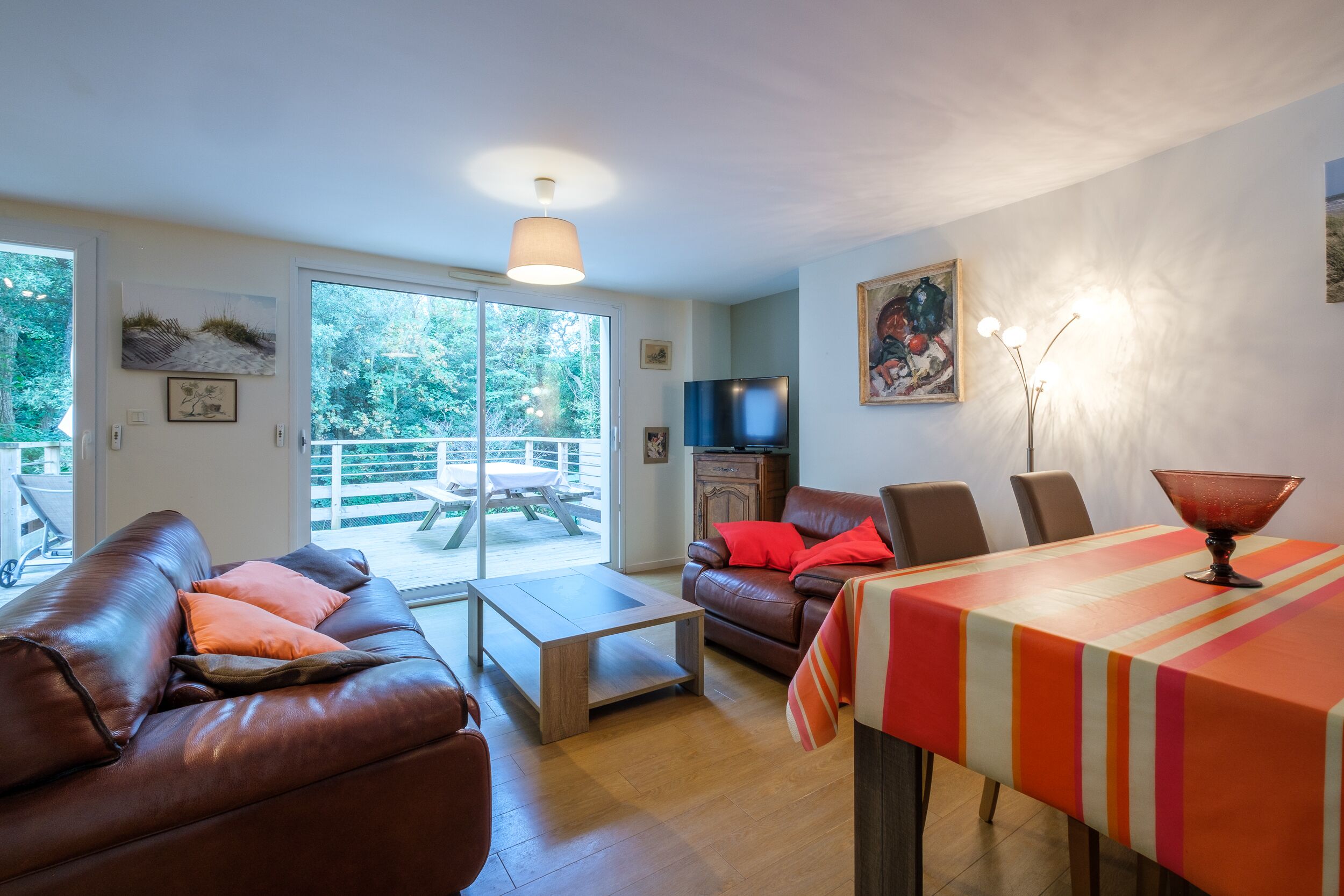 Télévision, lecteur de DVD