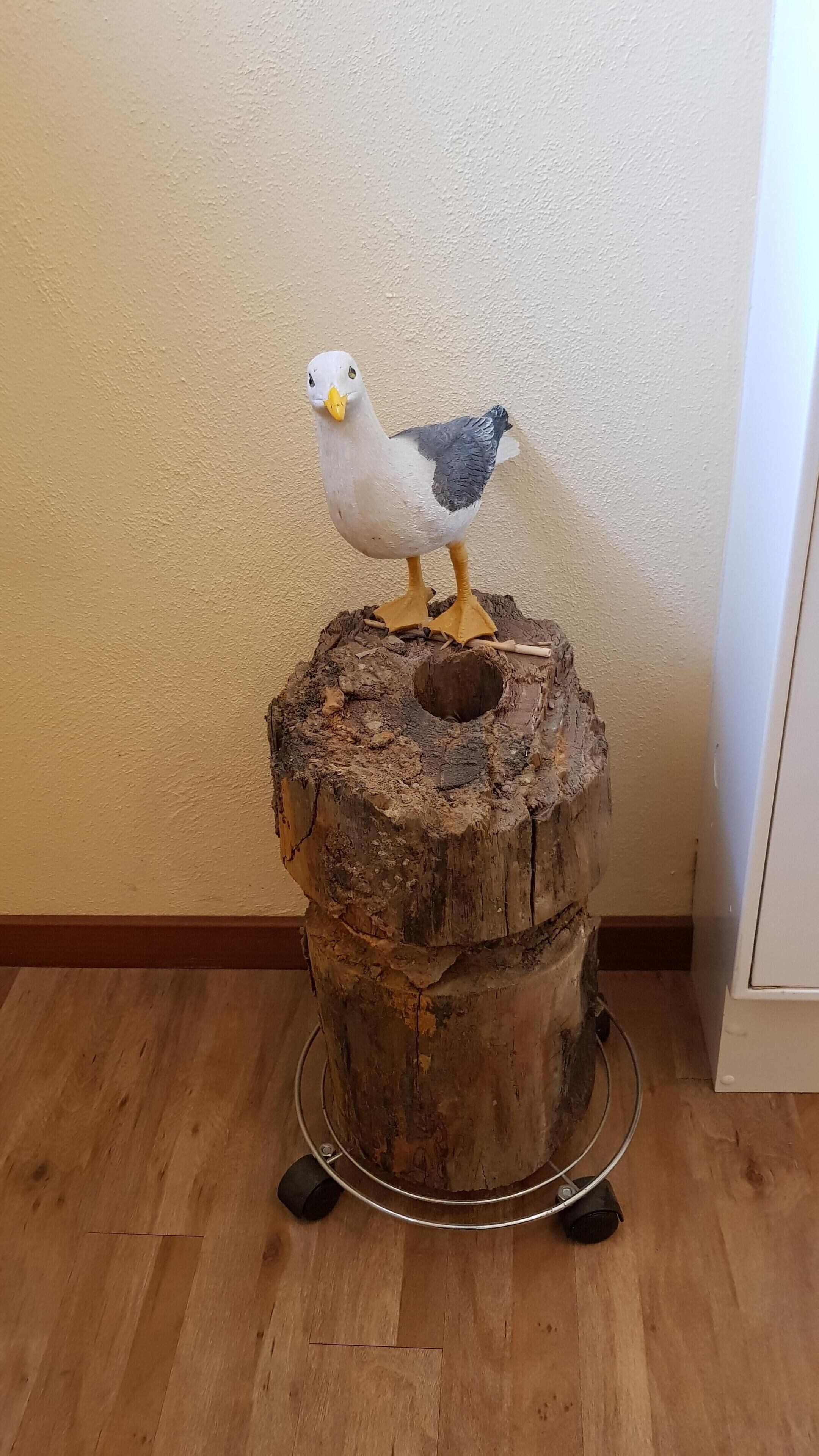 Hölzerne Wasserleitung aus dem Mittelalter