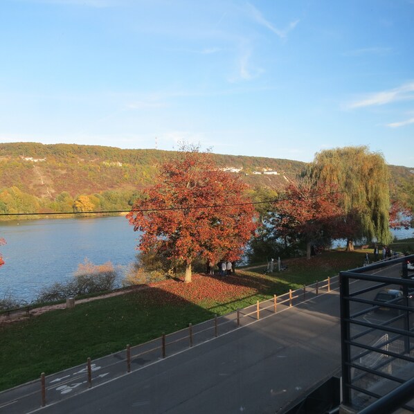 A lakeside view with autumn foliage, a walking path, and a distant hill.