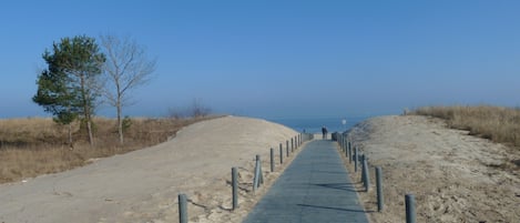 Playa en los alrededores y camastros