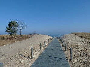 Playa en los alrededores y camastros 