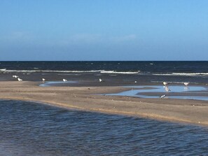 Beach nearby, sun-loungers - Fantastic thatched-roof vacation home on the Szczecin Lagoon - relaxation at any time of year (Zirchow)