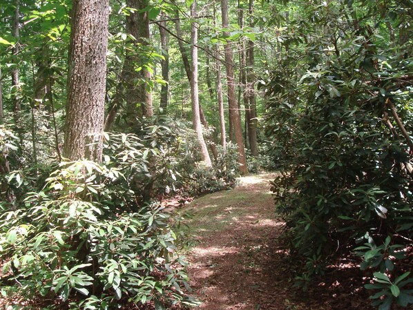 Jardines del alojamiento