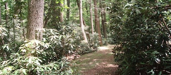 Fancy Gap Mountain Escape 