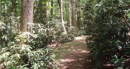 Fancy Gap Mountain Escape