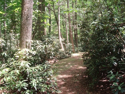 Fancy Gap Mountain Escape 