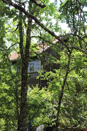 A rustic cabin surrounded by dense foliage. - The Cabane Rouge-Gorge (Auriac-Du-Périgord)