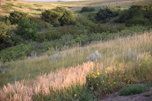 Àrea exterior de l'allotjament