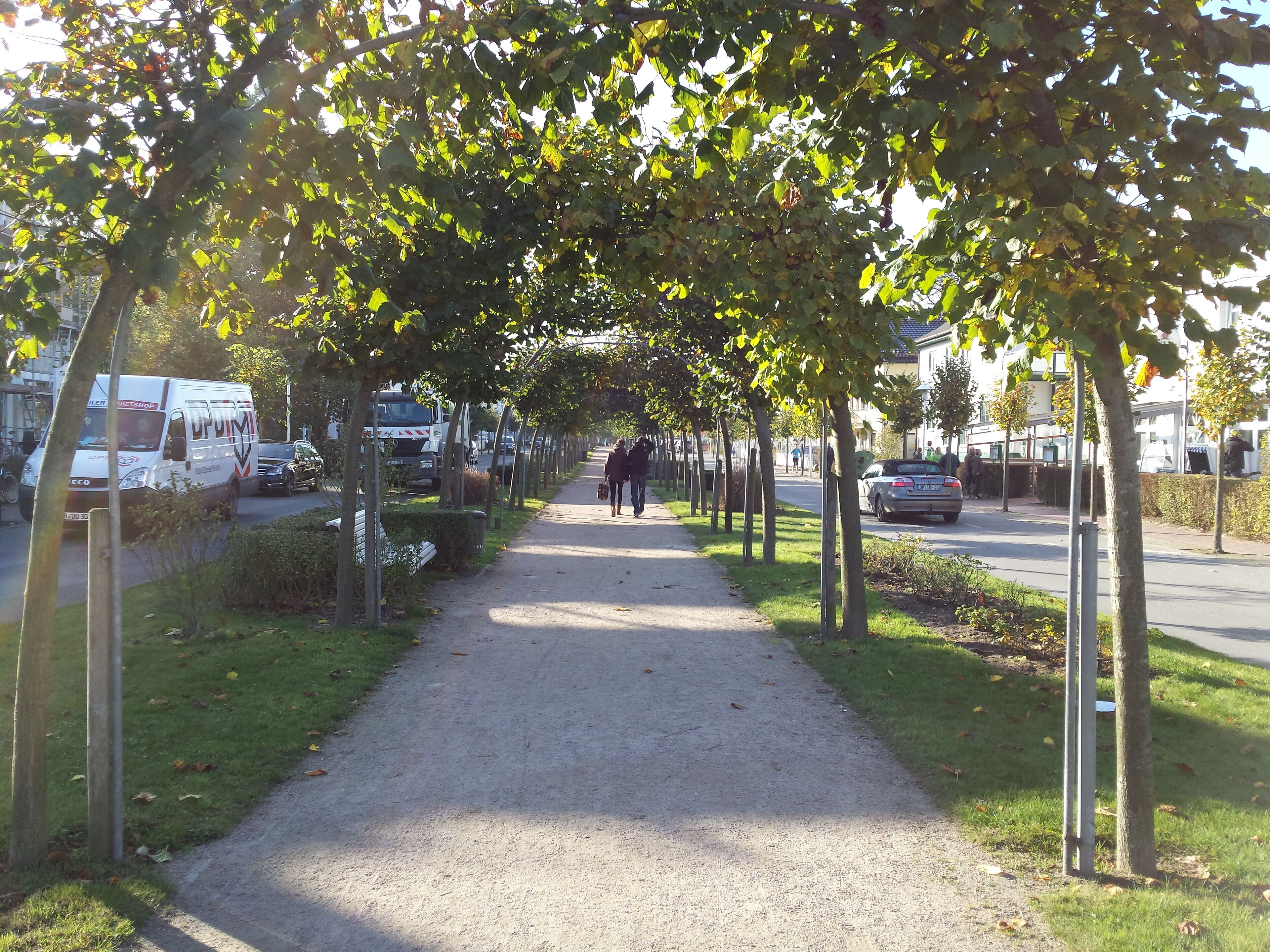 Un sentier bordé d’arbres, avec un chemin de gravier, des véhicules garés et un cycliste aperçu au loin.