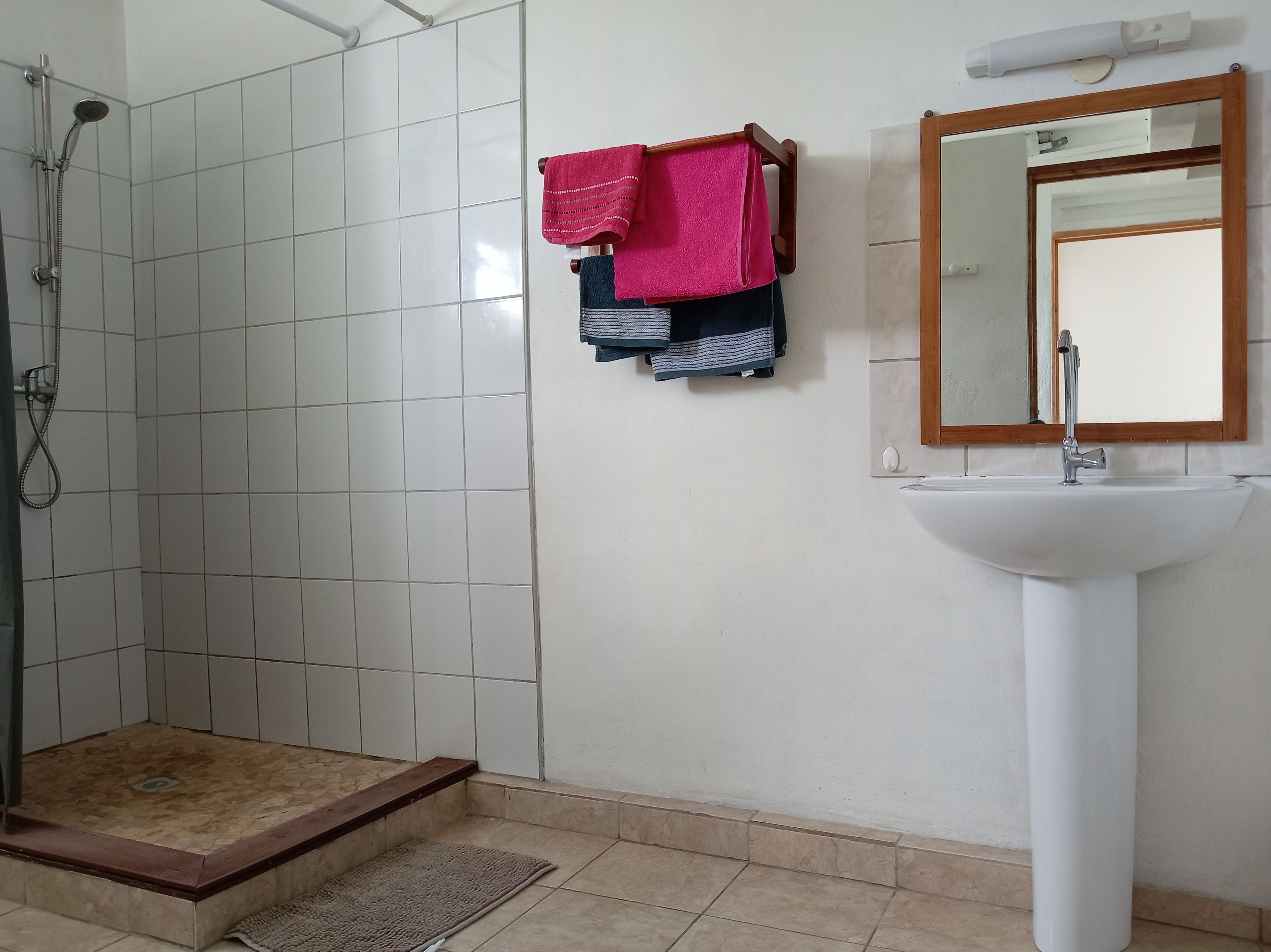 A bathroom with a shower, a sink, and a mirror.