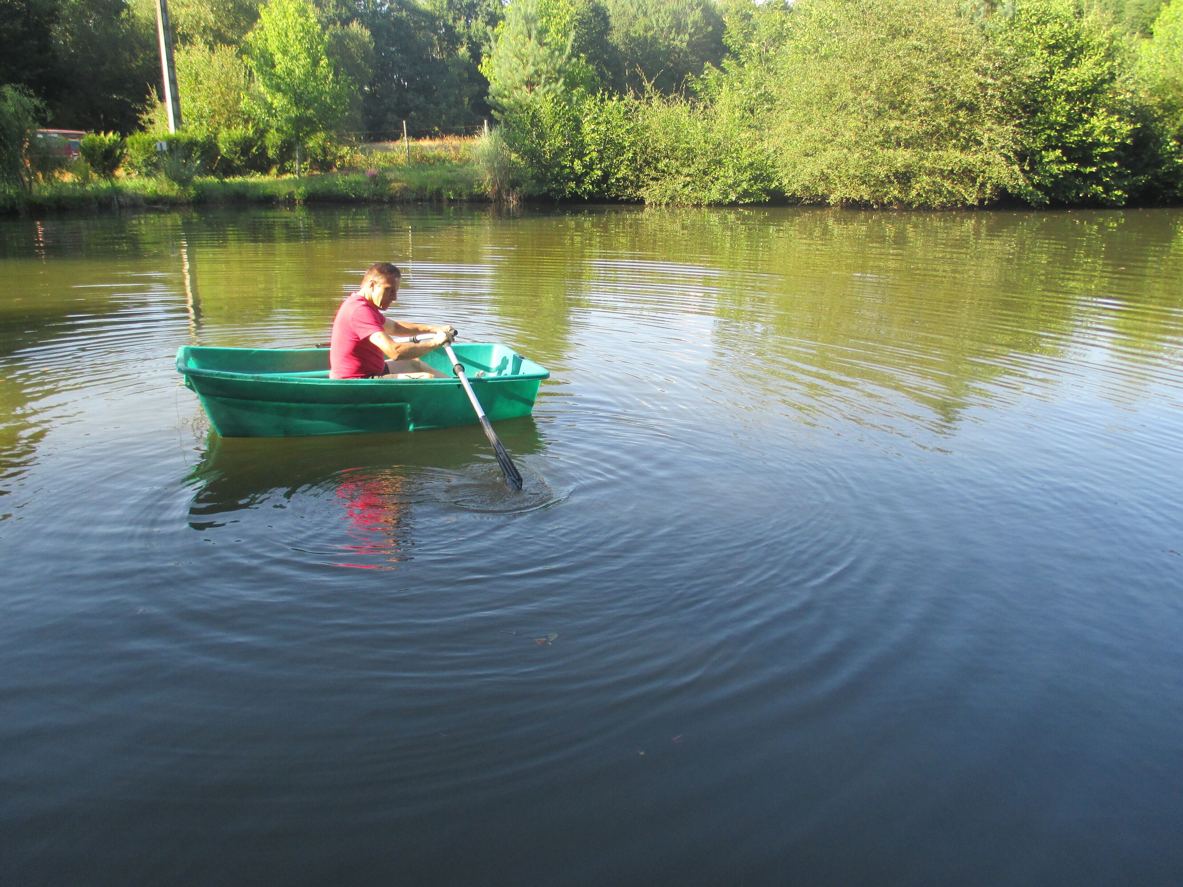 Una persona remando un bote verde en aguas tranquilas, rodeado de follaje.