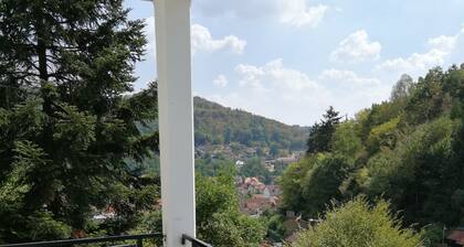 Ruhige Urlaubsoase mit wunderschönem Blick über Bad Lauterberg