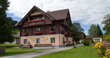 Gemütlich eingerichtetes großes Ferienhaus in den Bergen