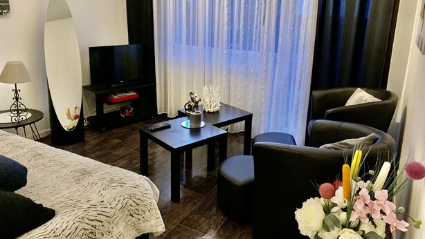 A hotel room with a bed, a TV, a small table with a decorative item, a chair, and a window with sheer curtains. - beautiful T1 30 m2, gated, near downtown, private parking. Wireless (Thonon-Les-Bains)
