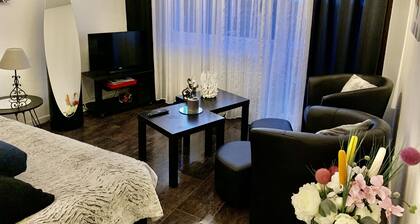 schöne T1 30 m2, gated, in der NÀhe der Innenstadt, einen privaten Parkplatz. Wi-Fi