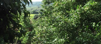 Stuga i Provence - Medeltida by