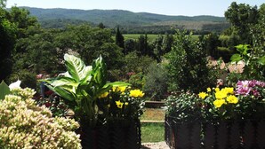 Un giardino con diverse piante e fiori, un vialetto e vista su dolci colline in lontananza.