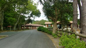 Property grounds - AZUR: Chalet in residential park in the heart of a pine forest, near beaches and golf. (Azur)