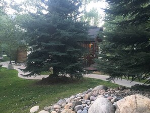 Escape to a serene cabin nestled among lush greenery, accessible via a winding pathway.