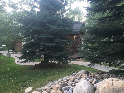 Avalon Estates: The Pines at Orehouse Plaza