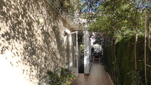 A narrow brick pathway leading to a glass door entrance, surrounded by lush greenery and potted plants.