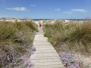 Una spiaggia nelle vicinanze